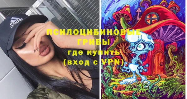 кокс Бородино