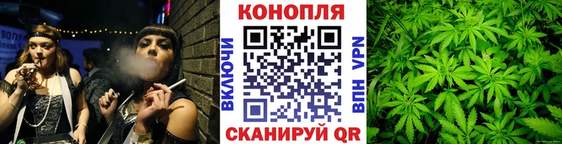 Каннабис гибрид  Вытегра 